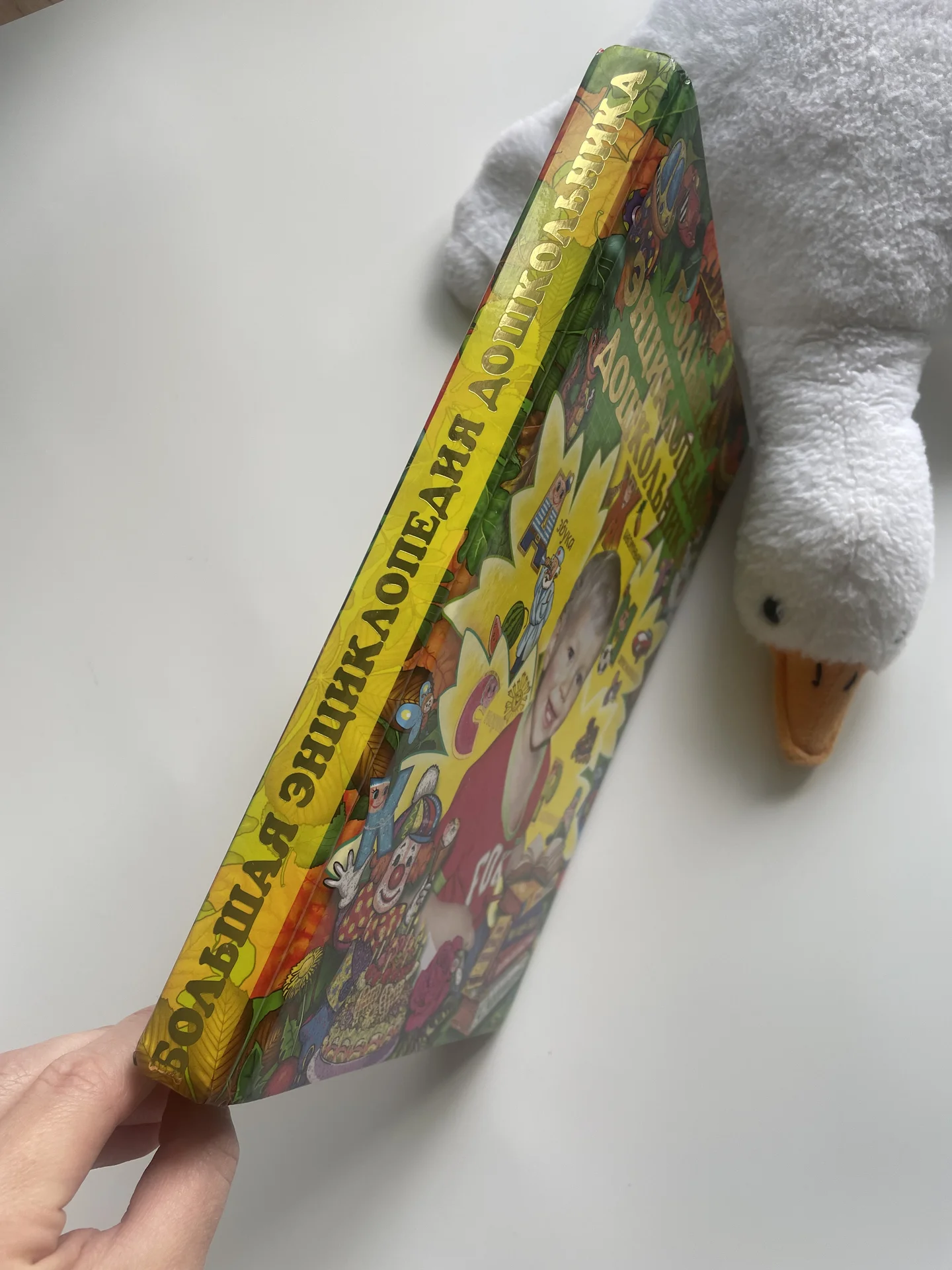 Книга Большая энциклопедия дошкольника роосса - миниатюра 12