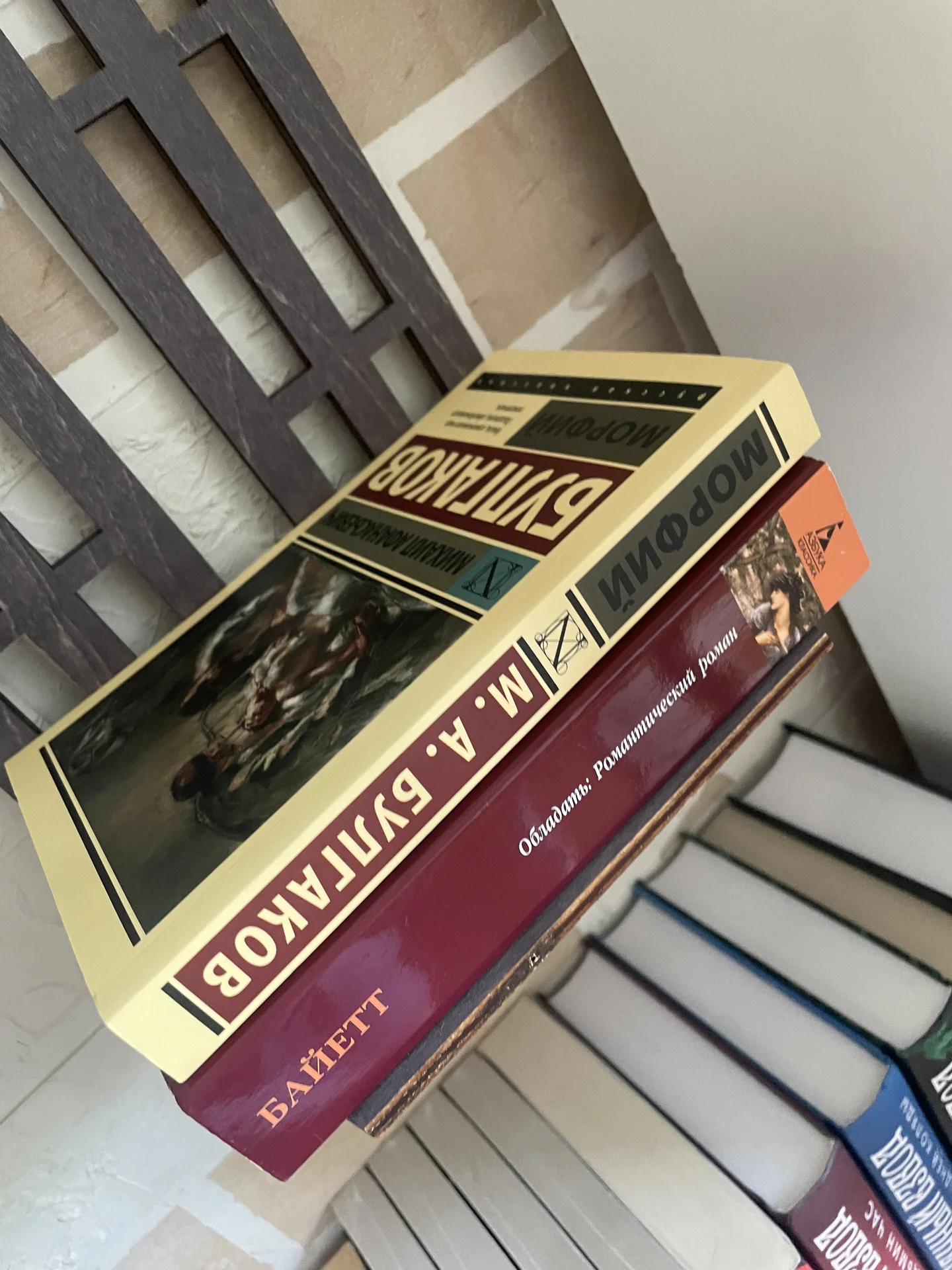 Книги - миниатюра 9