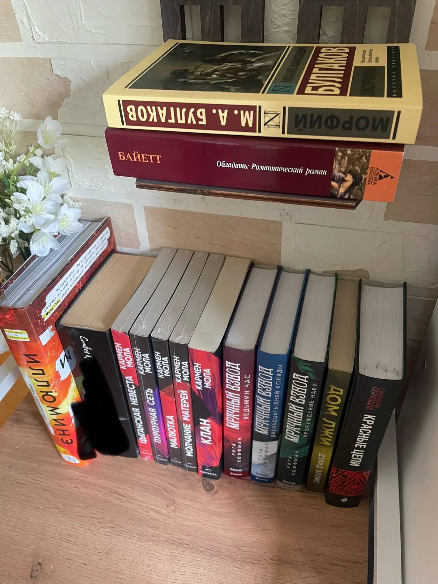 Книги - миниатюра 11