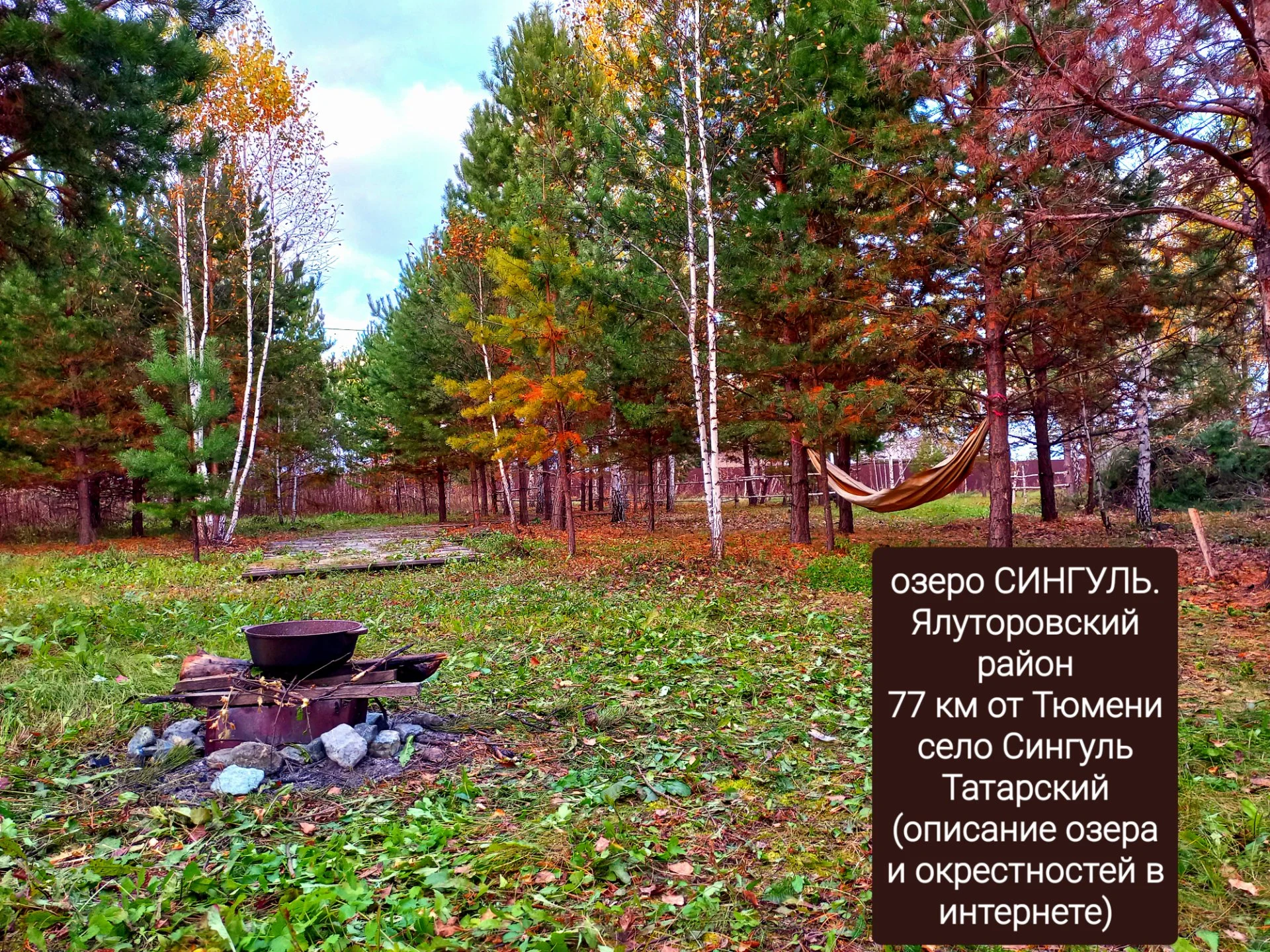 Участок на берегу оз. Сингуль - миниатюра 14