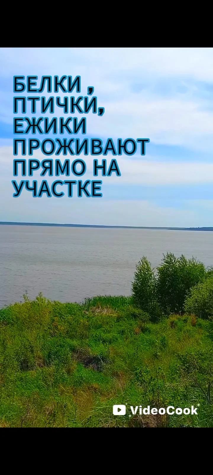 Местечко под дом у озера Синг - миниатюра 22
