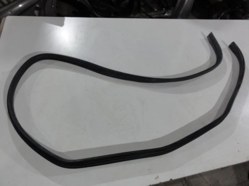 Уплотнитель двери задний Nissan Qashqai 1 MR20DE - миниатюра 3