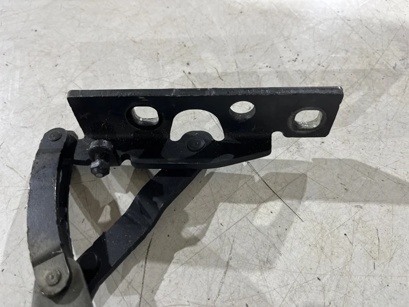 Петля капота левая BMW 7 E65 N62B48 2006 - миниатюра 4