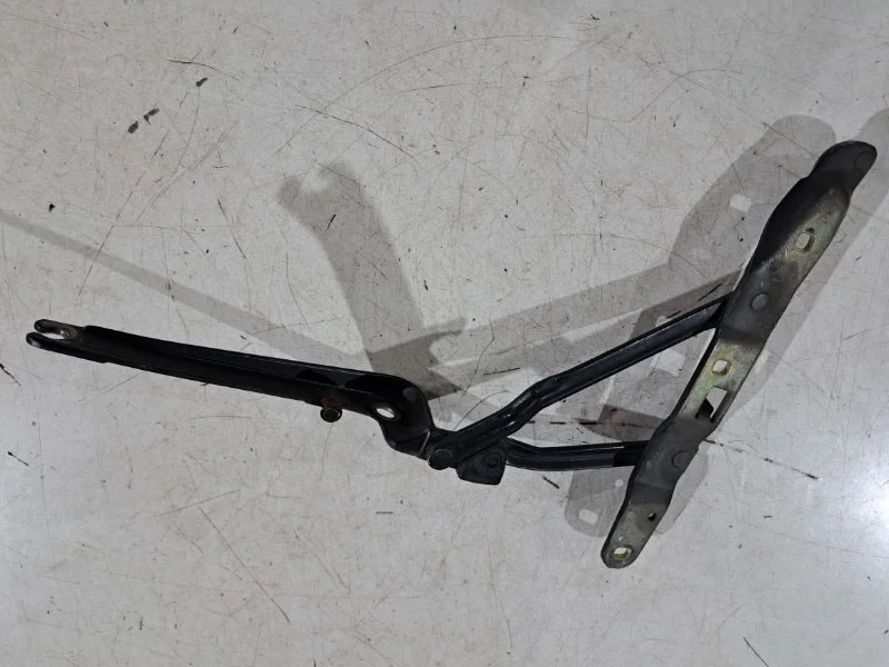 Петля багажника левая BMW Z4 E85 M54B30 2003 - миниатюра 2
