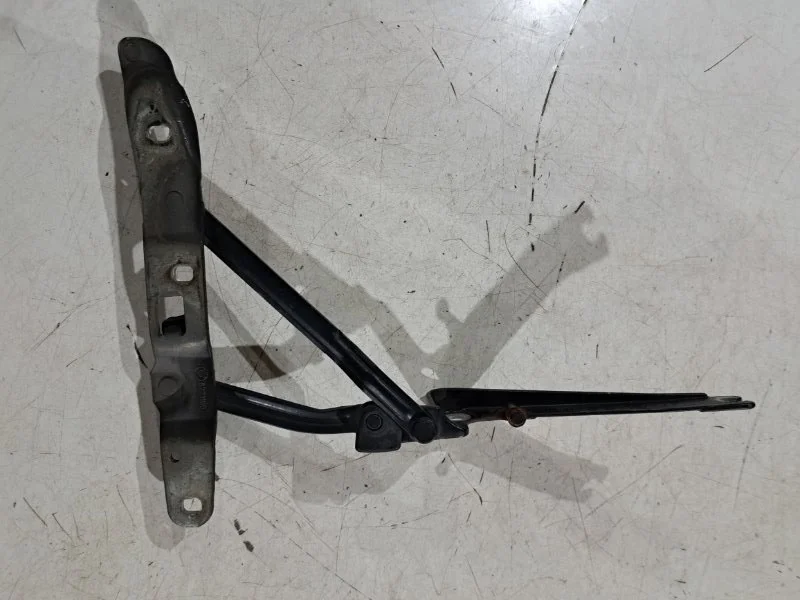 Петля багажника правая BMW Z4 E85 M54B30 2003 - миниатюра 2