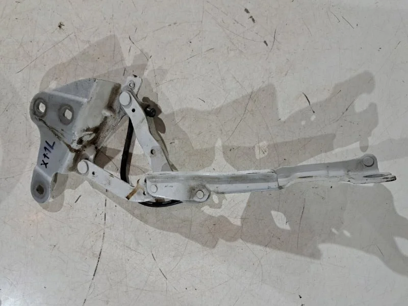 Петля капота левая BMW X1 E84 N46B20 2011 - миниатюра 3