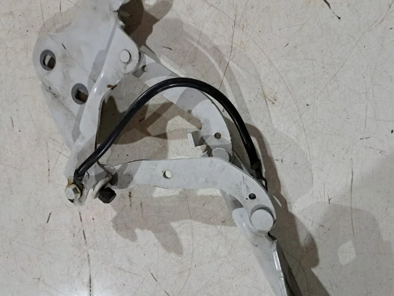 Петля капота левая BMW X1 E84 N46B20 2011 - миниатюра 7