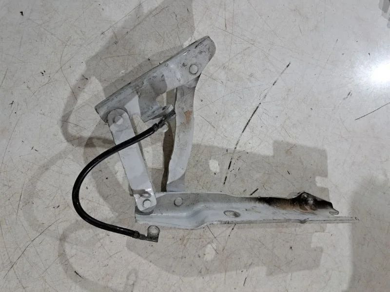 Петля капота правая BMW 5 E61/E60 N52B25 2007 - миниатюра 2