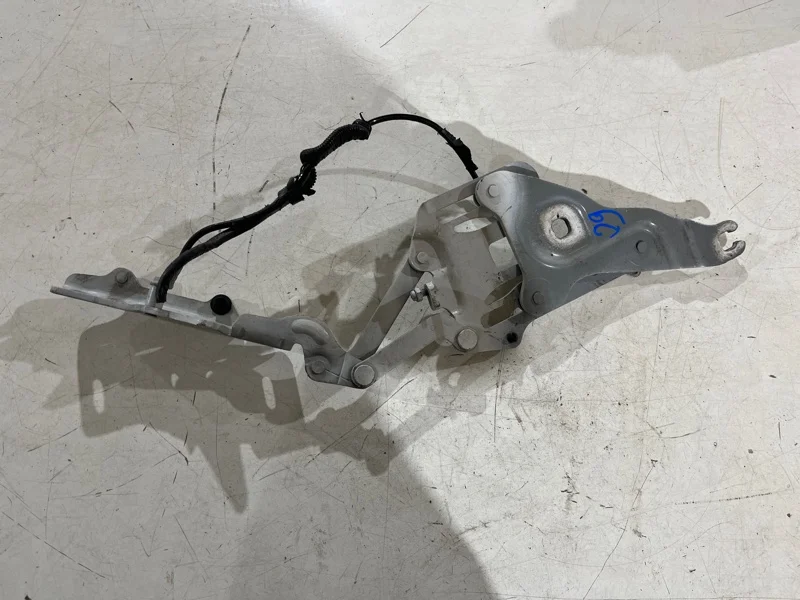 Петля капота правая BMW X5 E70 N52B30 2007 - миниатюра 3
