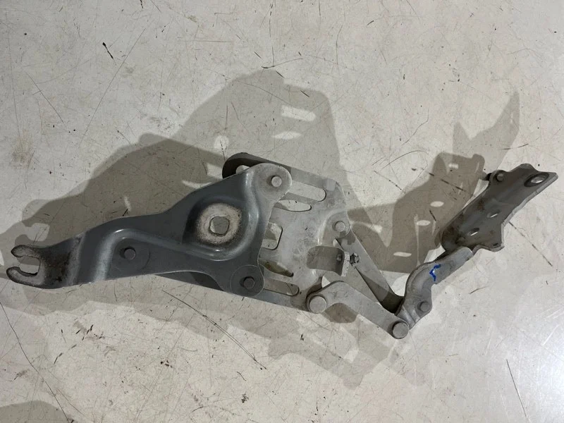 Петля капота левая BMW X5 E70 N52B30 2007 - миниатюра 2