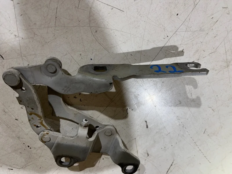 Петля капота правая BMW 3 E90/E91 N46B20 2009 - миниатюра 3