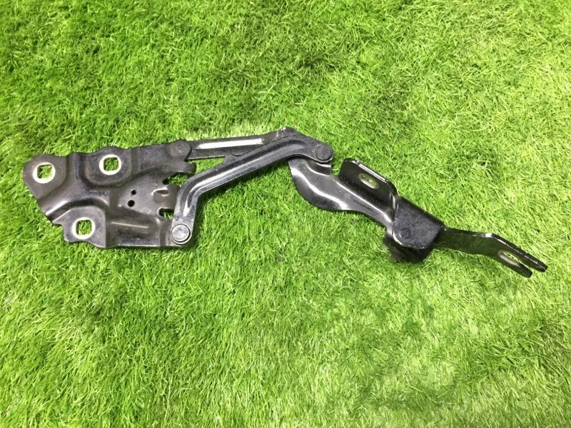 Петля капота левая BMW X3 F25 N47D20C 2012 - миниатюра 4