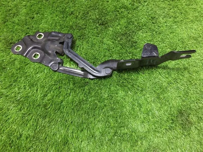 Петля капота правая BMW X3 F25 N47D20C 2012 - миниатюра 4