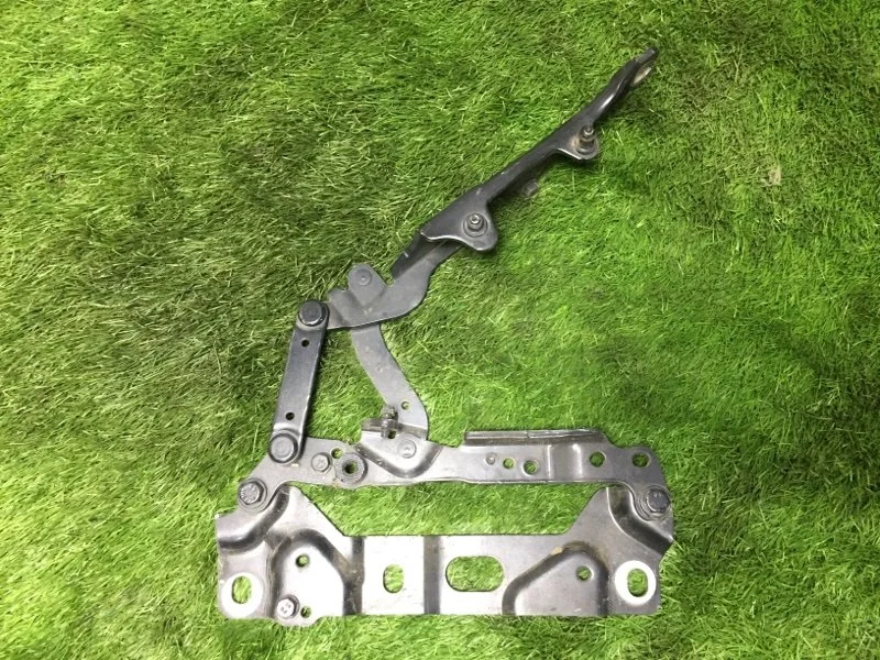 Петля капота левая BMW 7 F02 N63B44A 2010 - миниатюра 5
