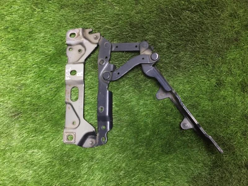Петля капота правая BMW 7 F02 N63B44A 2010 - миниатюра 6
