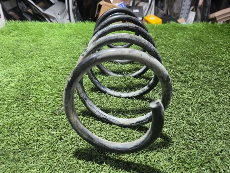 Пружина передняя Exeed RX T22 AGRG00525 2024 - миниатюра 4