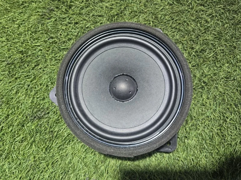 Динамик задний Exeed RX T22 AGRG00525 2024 - миниатюра 2