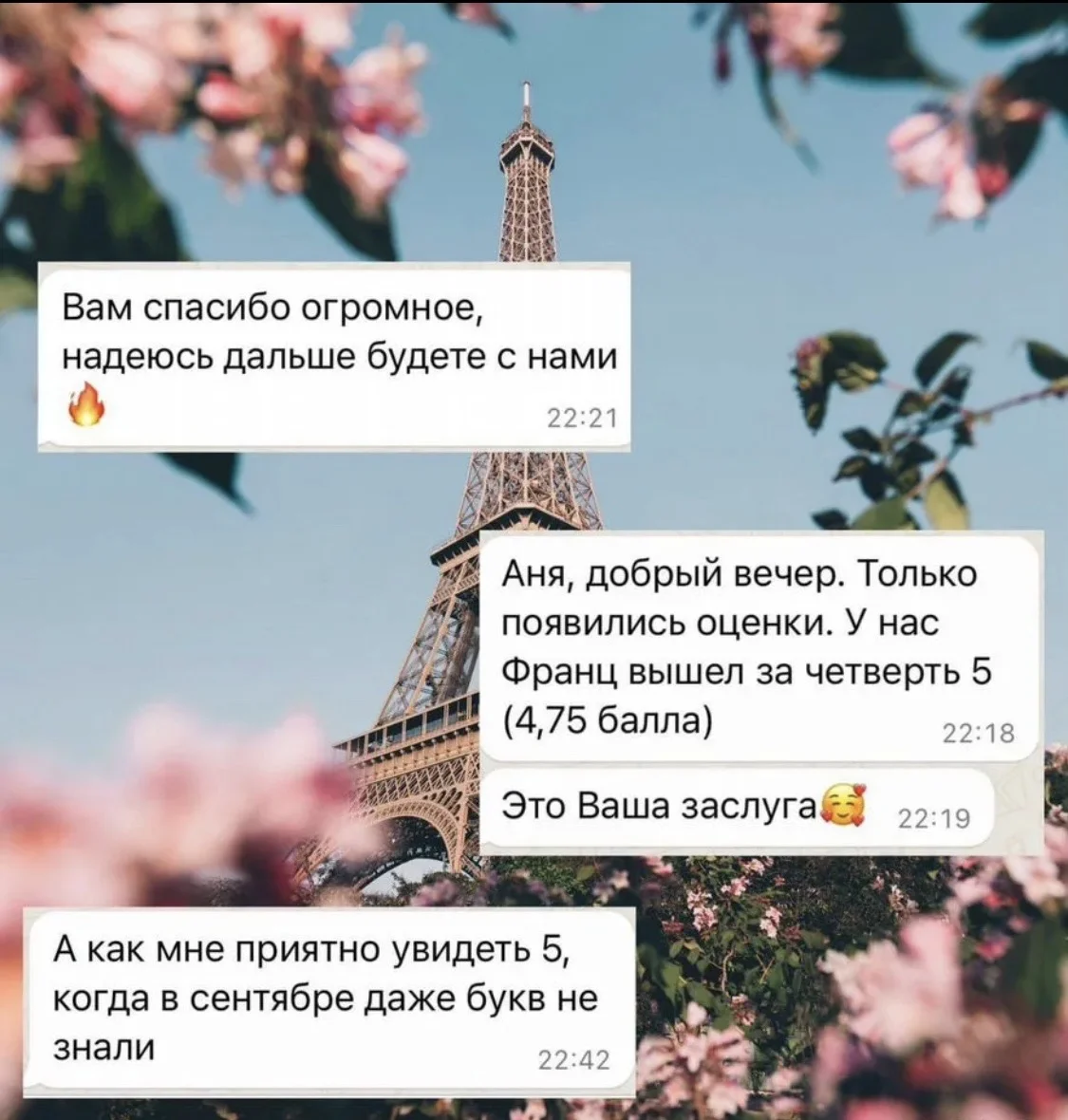 Репетитор по французскому языку - миниатюра 3
