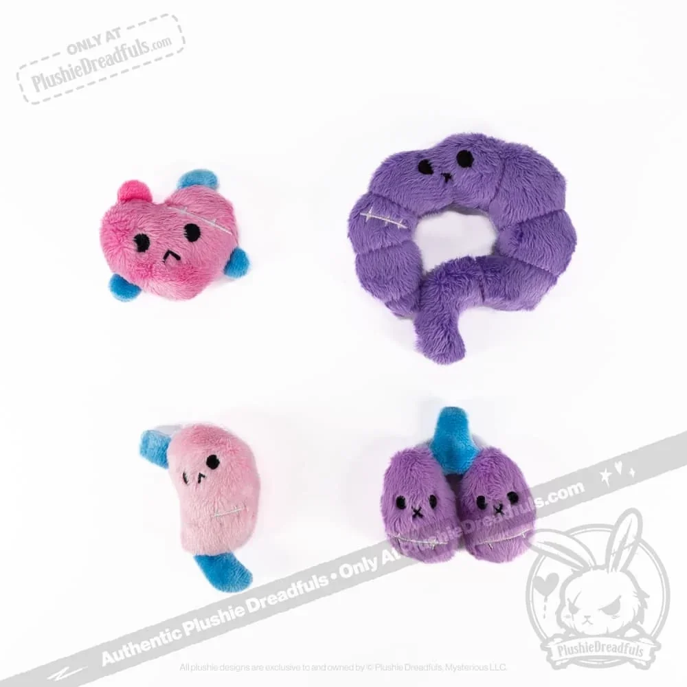Bone Organ Izer Bunny - Plush Stuffed Animal - миниатюра 6
