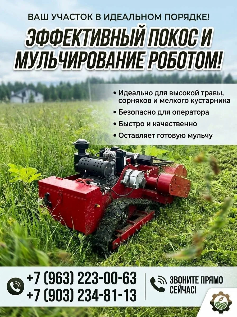 покос травы, бурьяна , борщевика - изображение 1