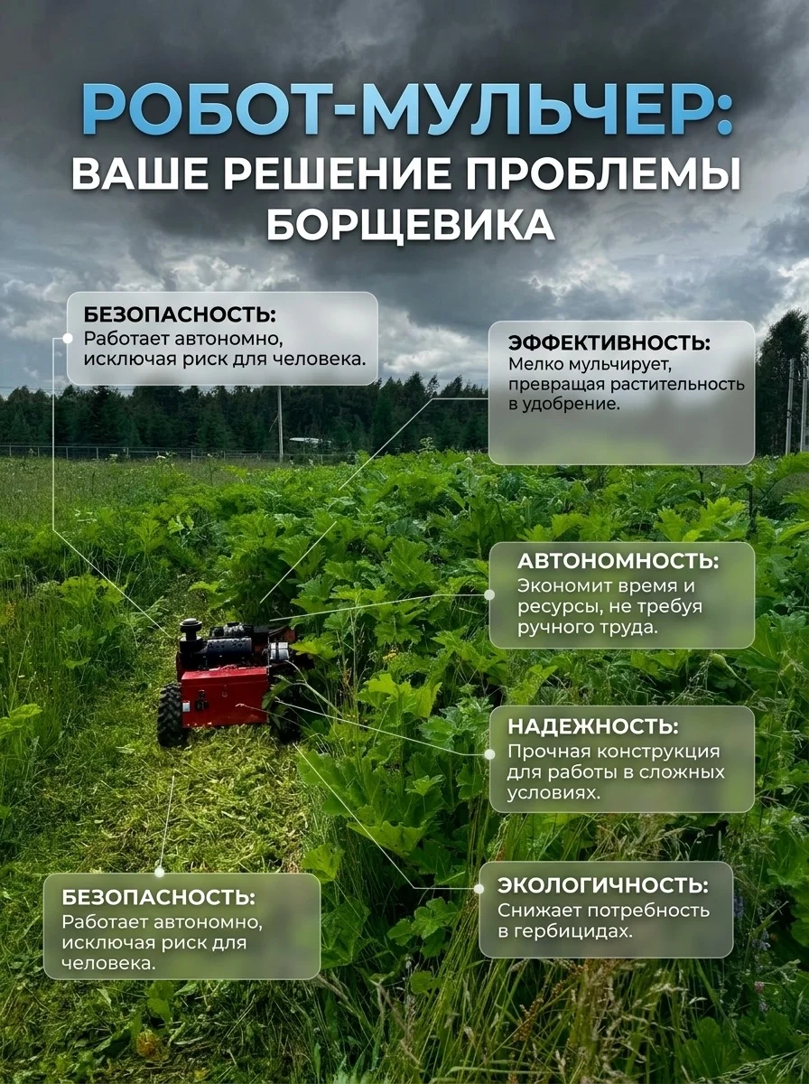 покос травы, бурьяна , борщевика - миниатюра 6