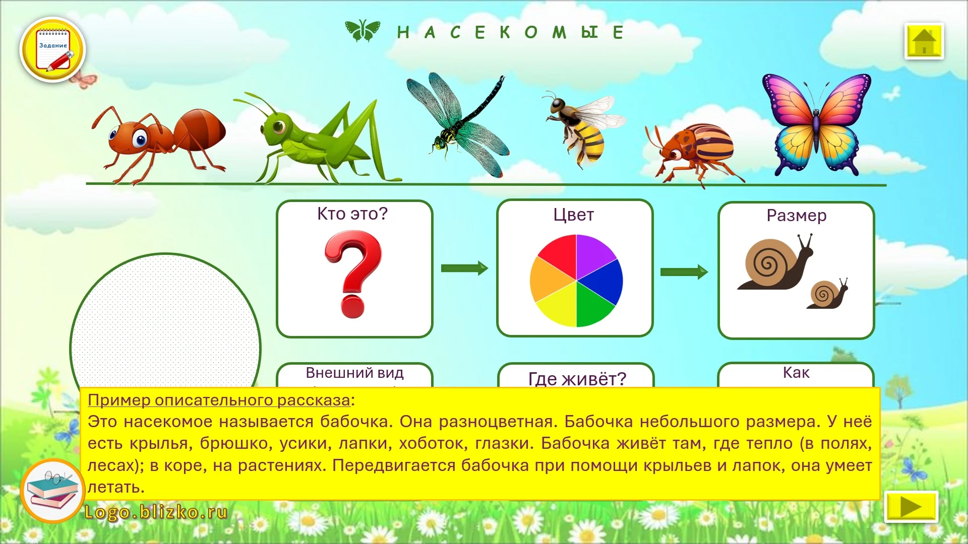 Составляем рассказ-описание по схеме. Пособие - миниатюра 7