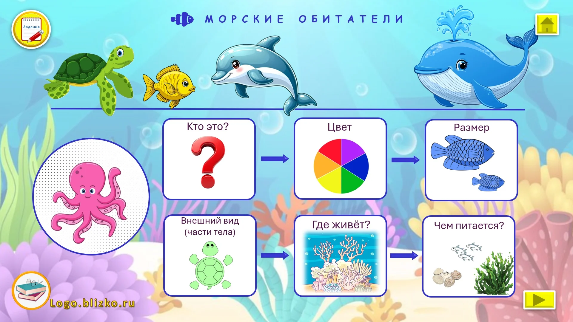 Составляем рассказ-описание по схеме. Пособие - миниатюра 8