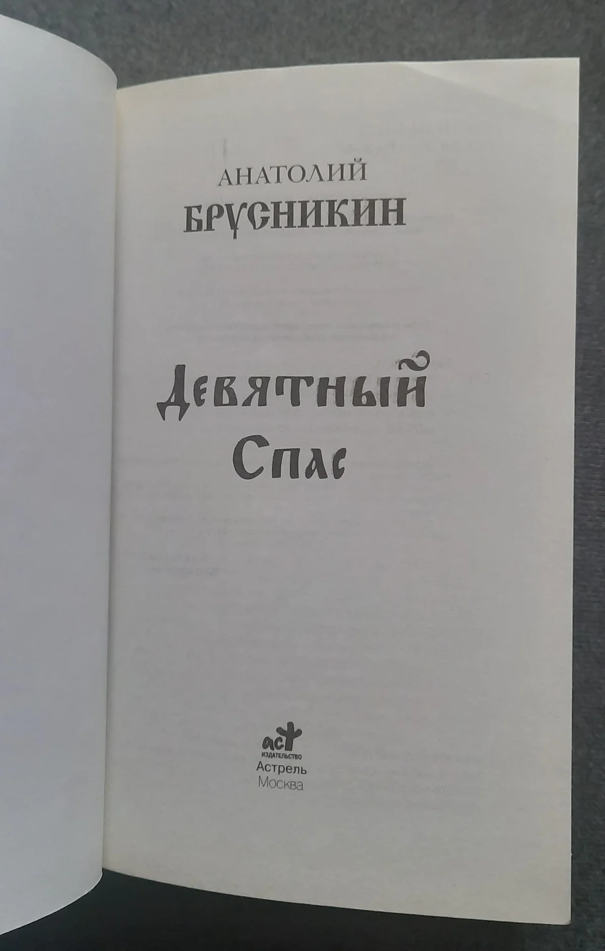 Анатолий Брусникин Девятный спас - миниатюра 4