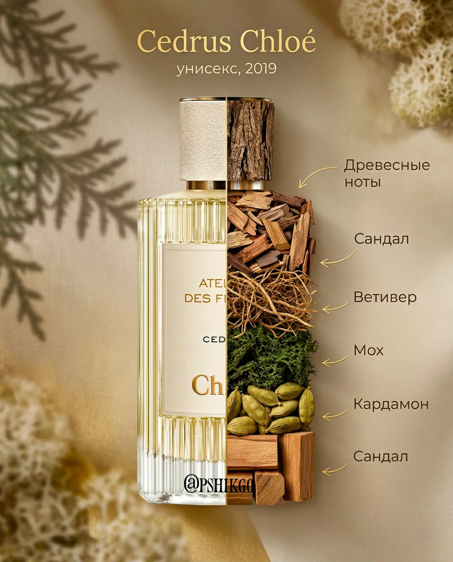 Chloe Cedrus - миниатюра 2