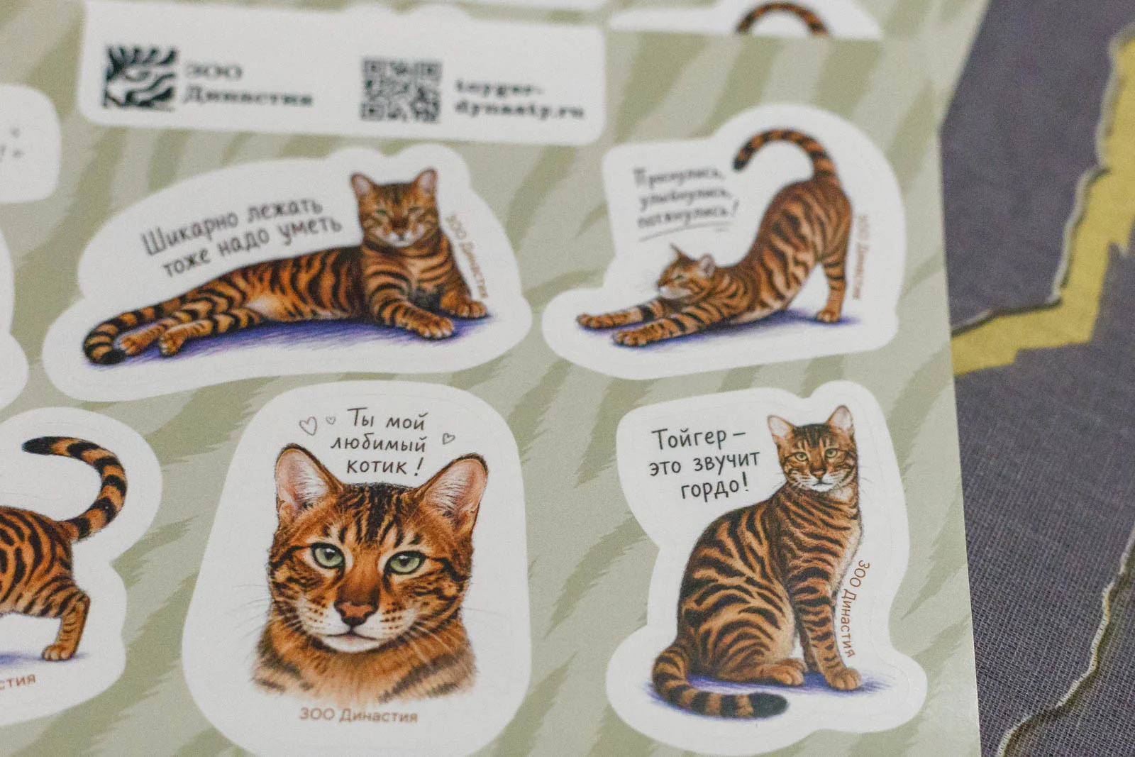 котенок - миниатюра 4