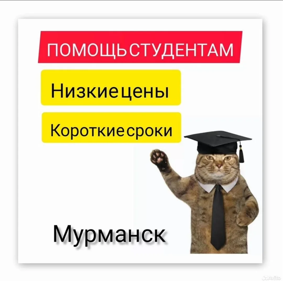 Помощь студентам Синергии, МТИ - изображение 1