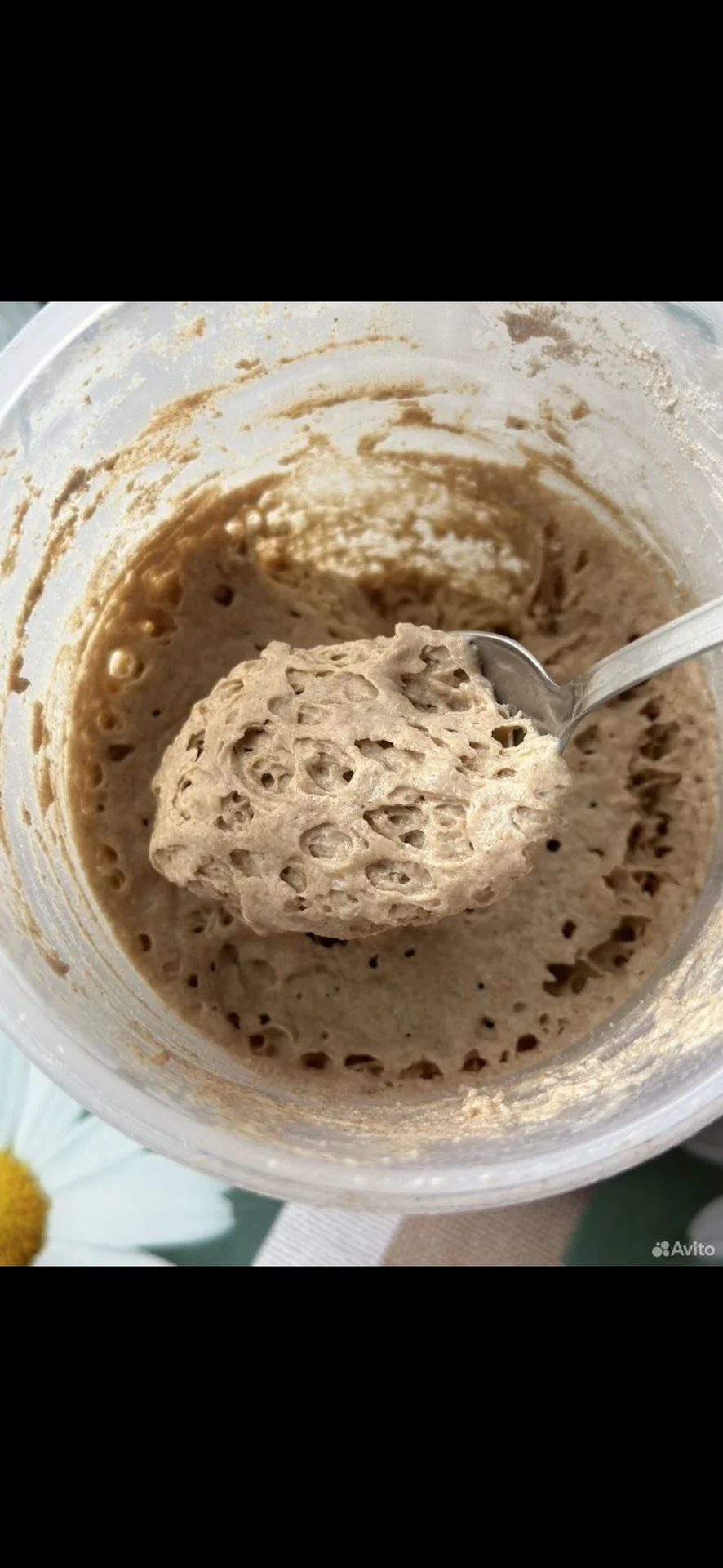 Ржаная закваска для хлеба