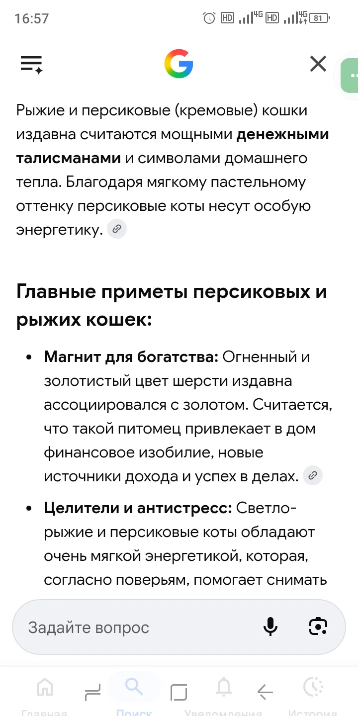 Перс экстримал котенок - миниатюра 7