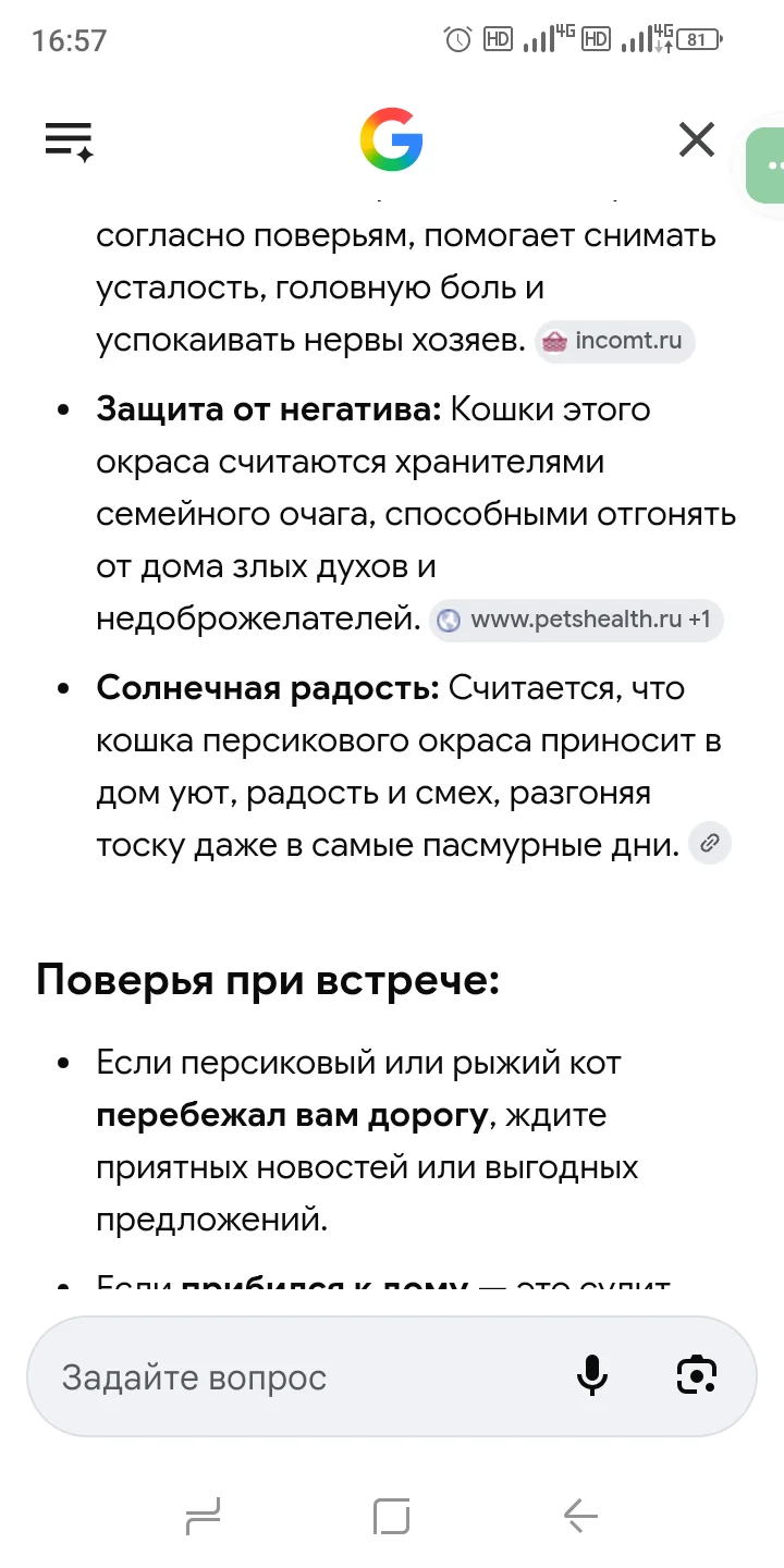 Перс экстримал котенок - миниатюра 8