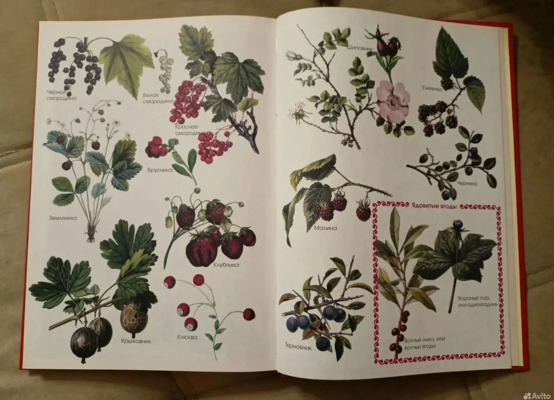 книга Ладушки. Энциклопедия детского фольклора - миниатюра 6
