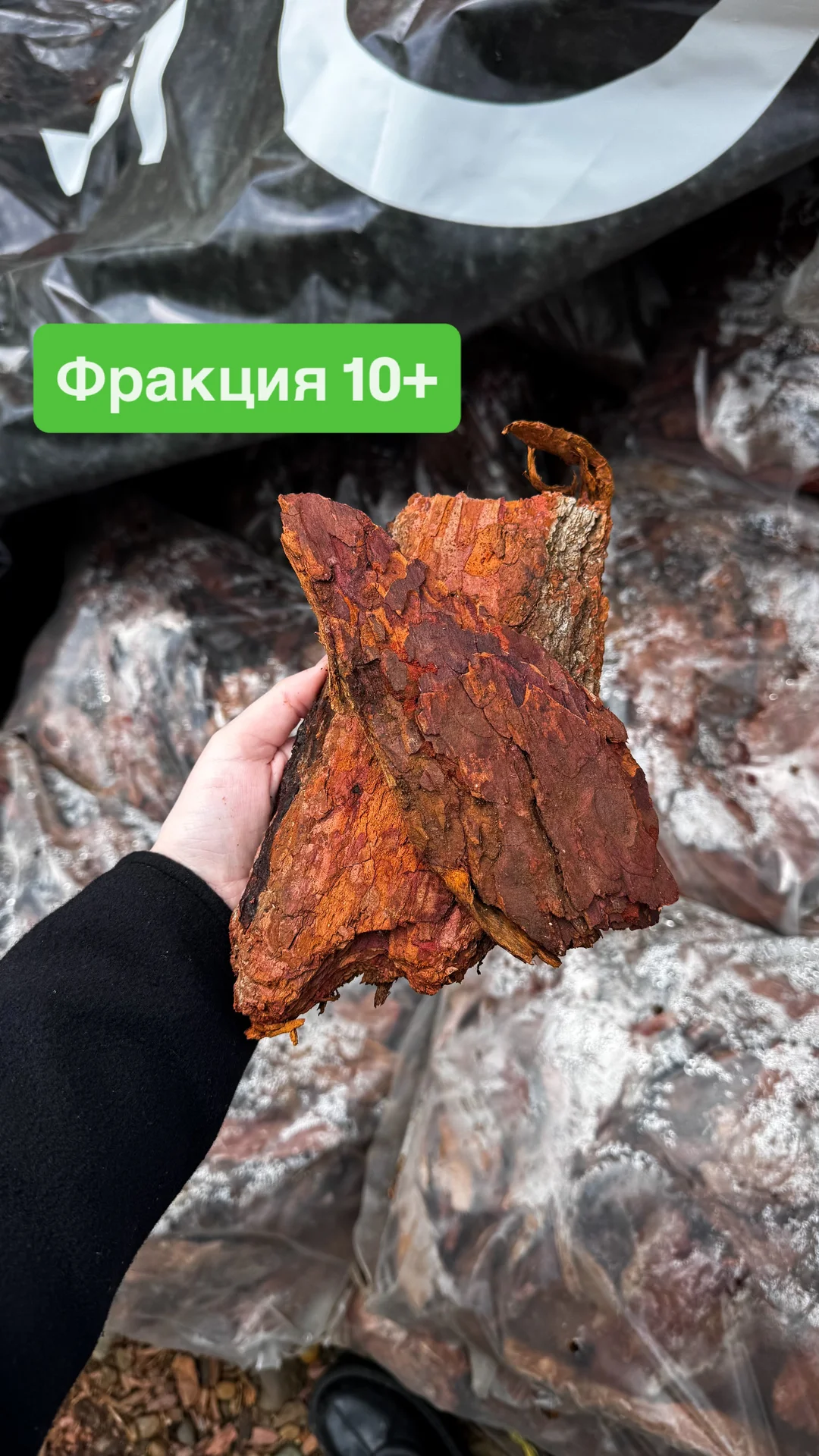 мульча - миниатюра 2