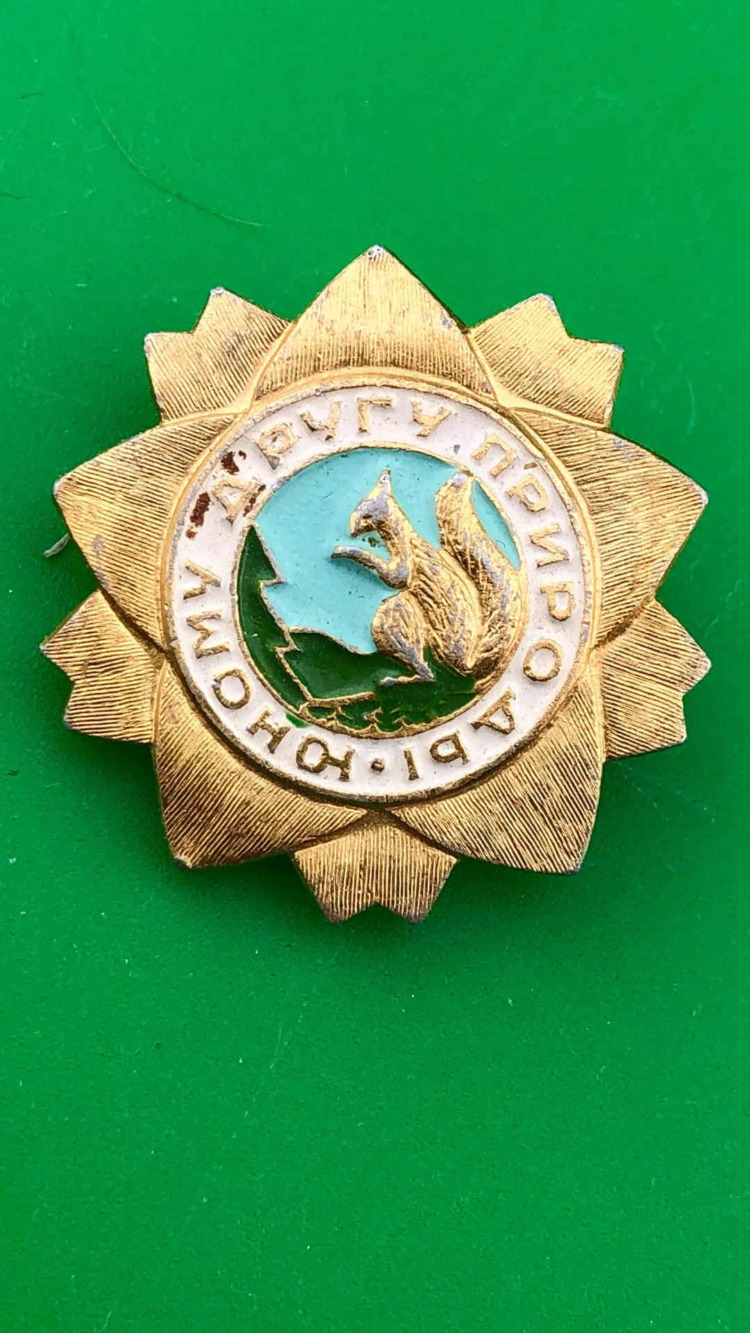 знак Юному другу природы - изображение 1