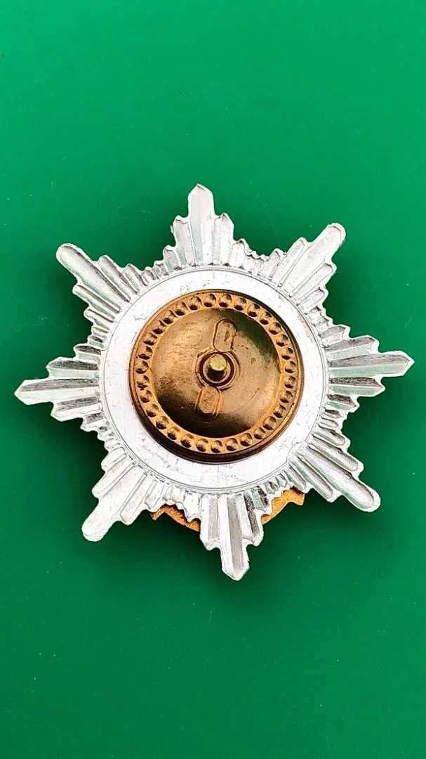 знак ВМФ.Северный флот России.сложно составной - миниатюра 4