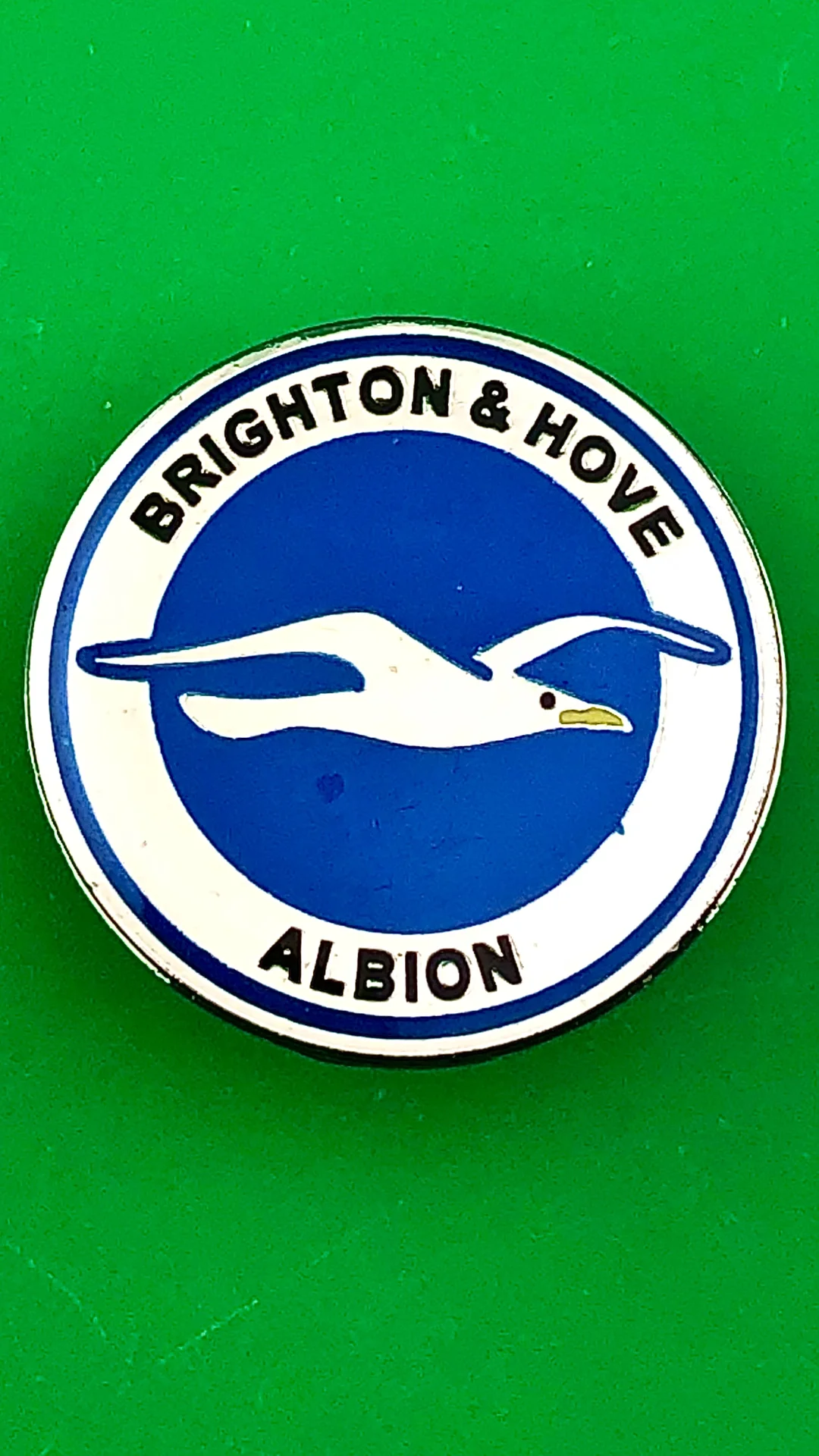 знак Футбольный клуб «Брайтон энд Хоув Альбион» Brighton & Hove Albion Football Club - изображение 1