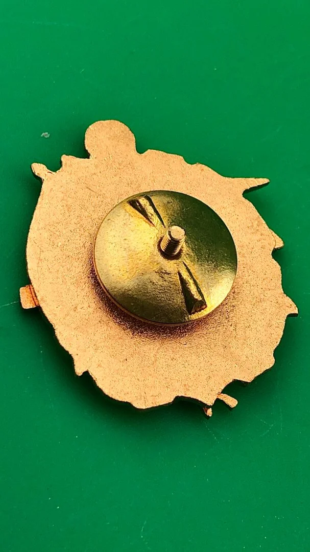 знак ВМФ АПЛ К-8 - миниатюра 3