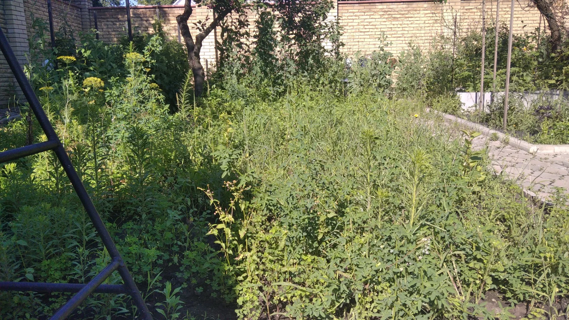 Уборка огородов , участков ,территории в Донецке - миниатюра 9