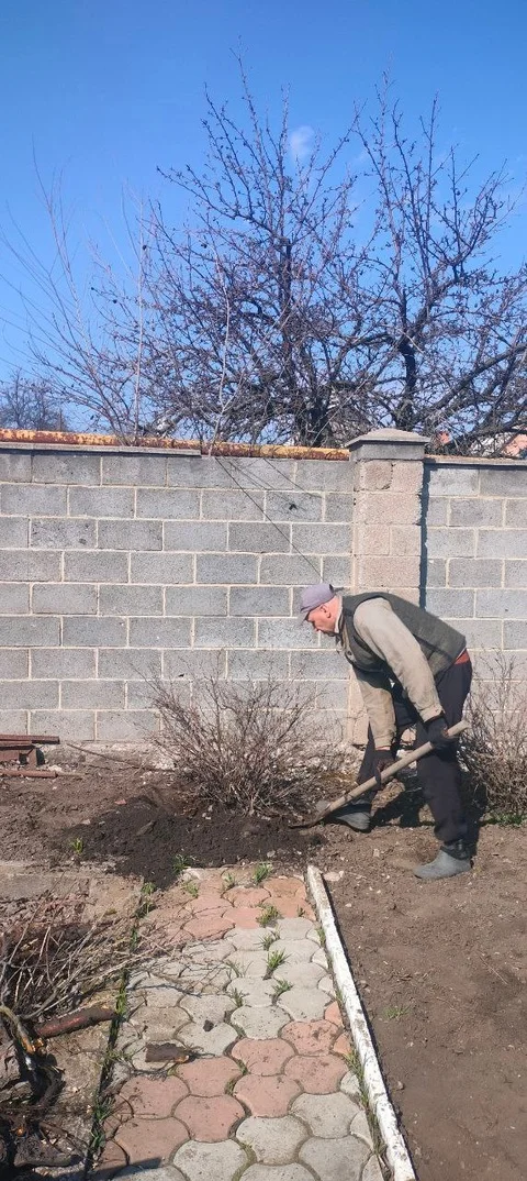 Выкорчевывание пней  и поросли в Донецке - миниатюра 2