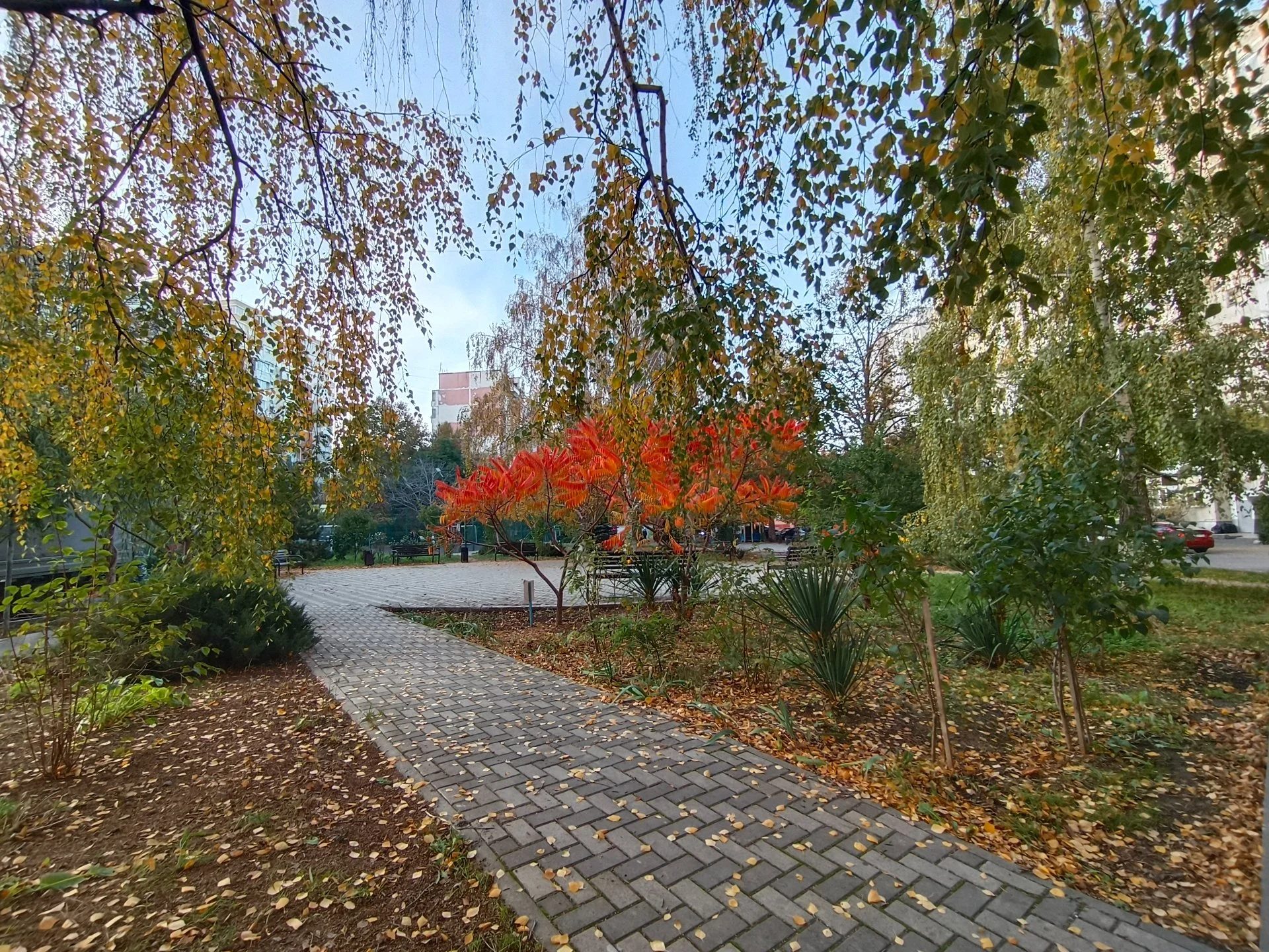 3к в Анапе - миниатюра 6