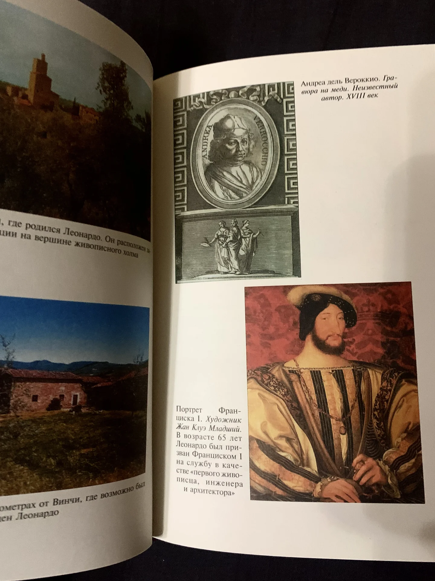 Книга Инны Свеченовской «Леонардо да Винчи» - миниатюра 3