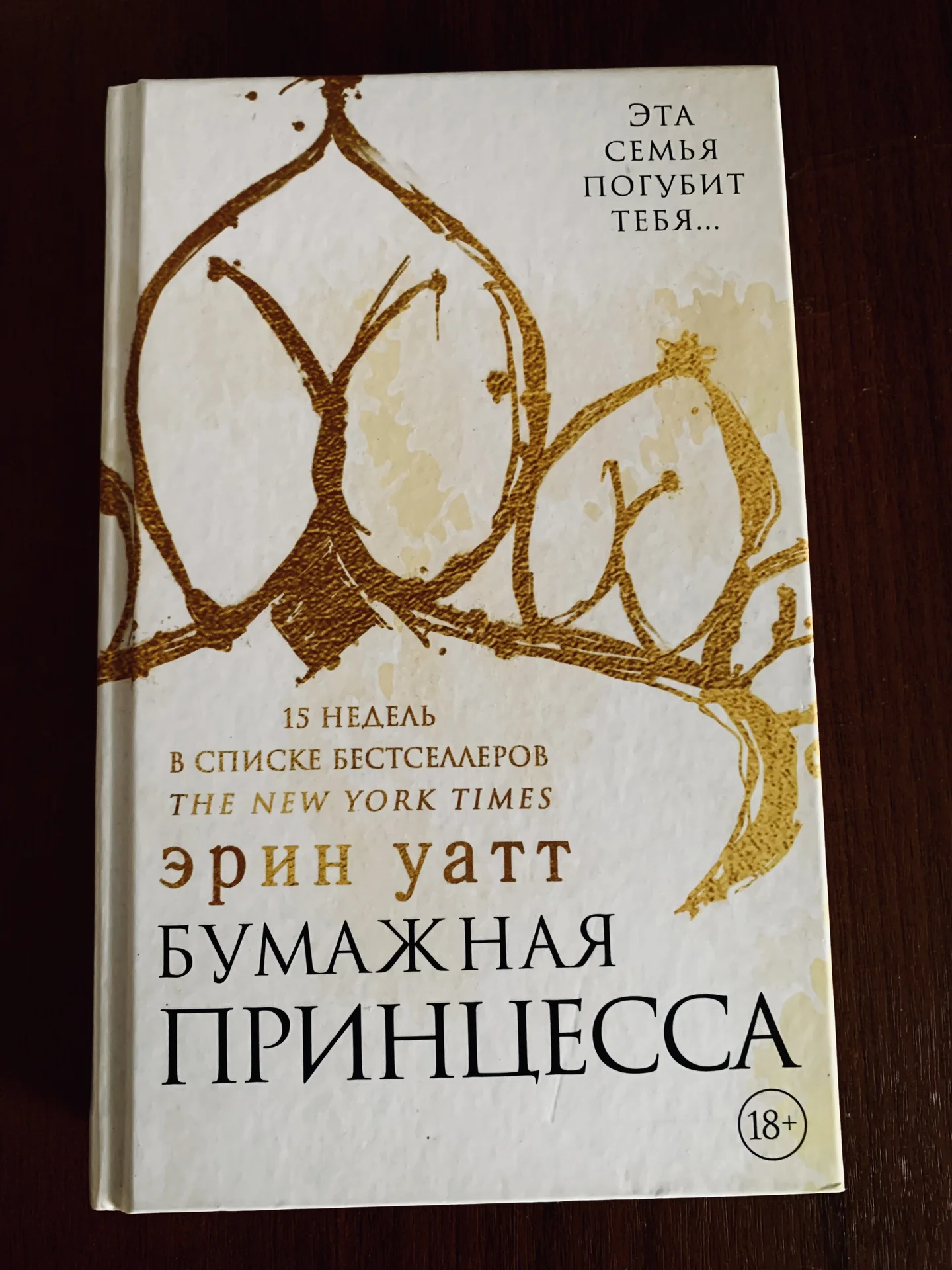 Книга Эрин Уатт «Бумажная принцесса» - изображение 1