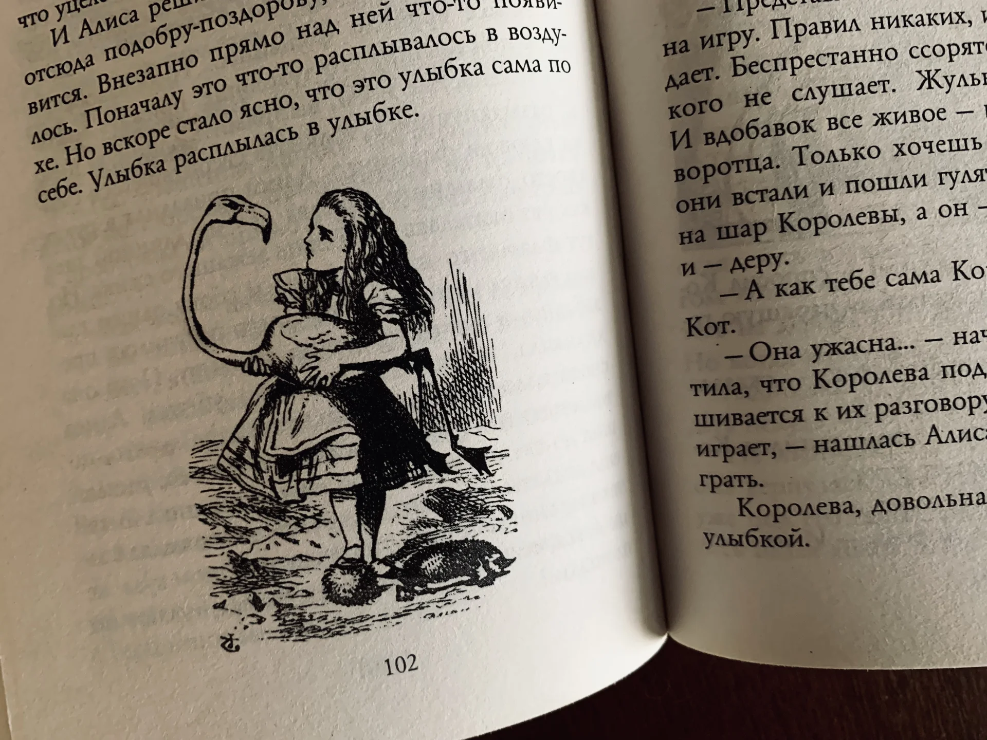 Книга Льюиса Кэрролла «Алиса в стране Чудес» - миниатюра 4