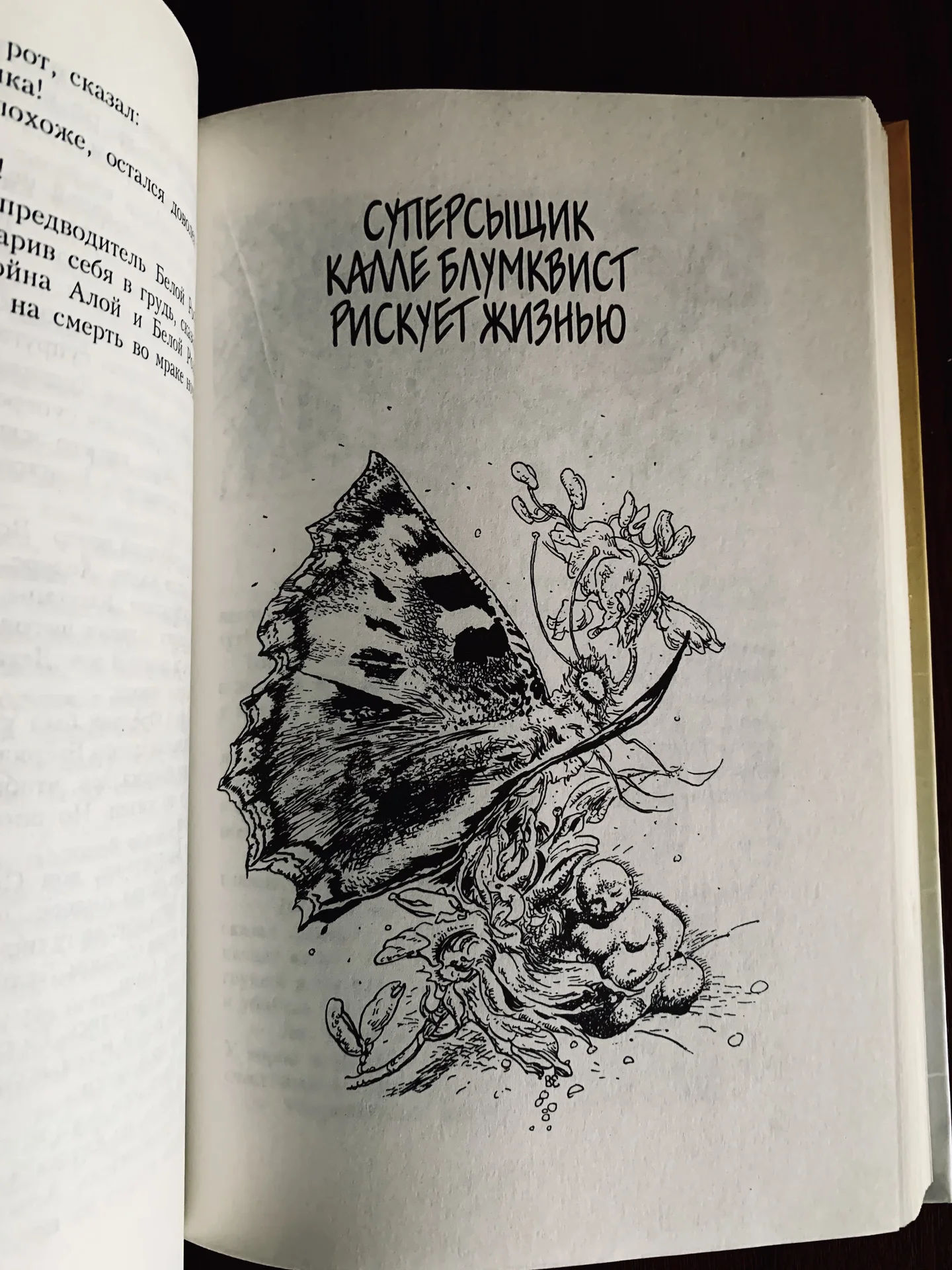 Книга Астрид Линдгрен «Суперсыщик Калле Блумквист» - миниатюра 5