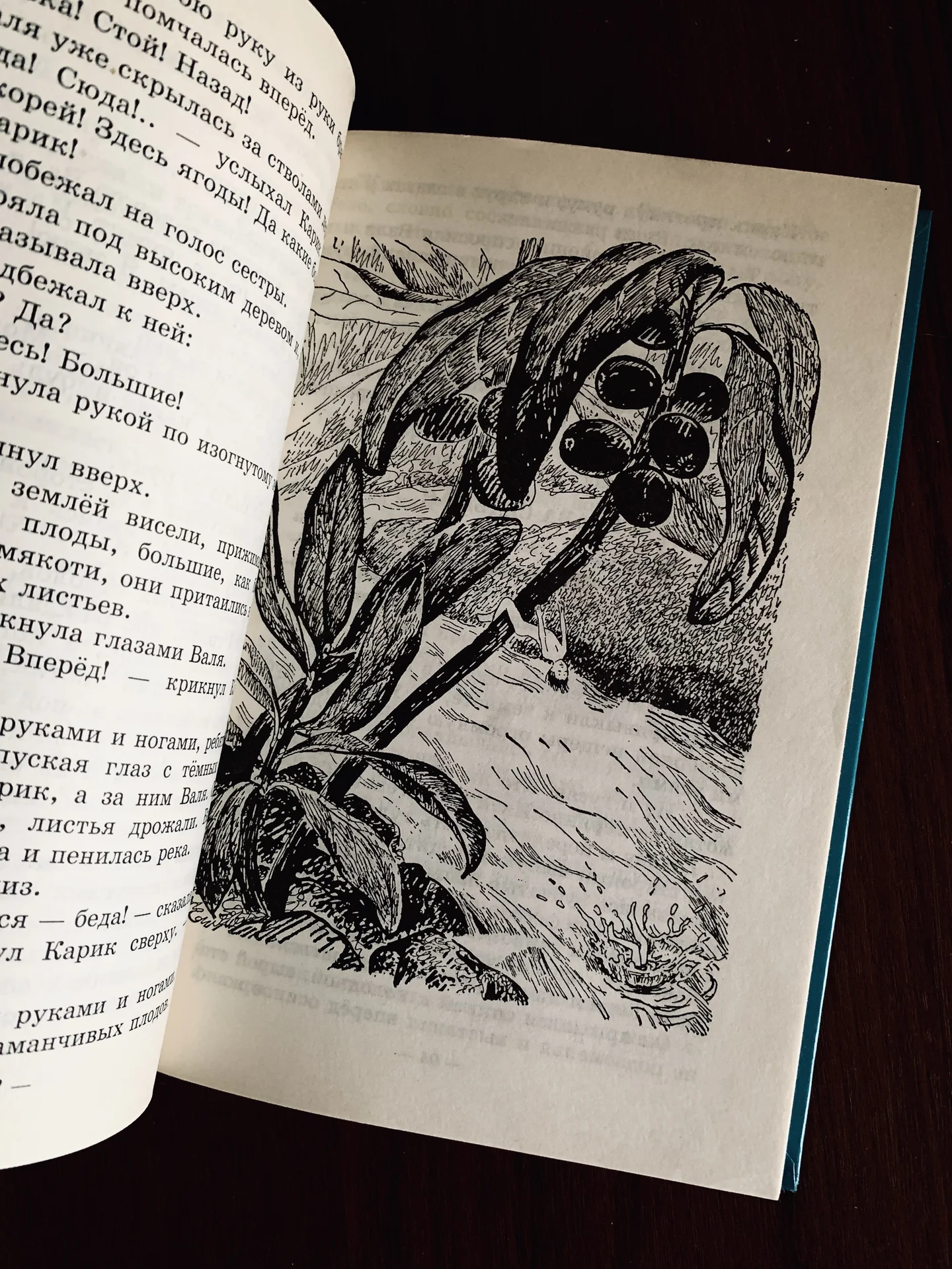Книга Яна Ларри «Приключения Карика и Вали» - миниатюра 5