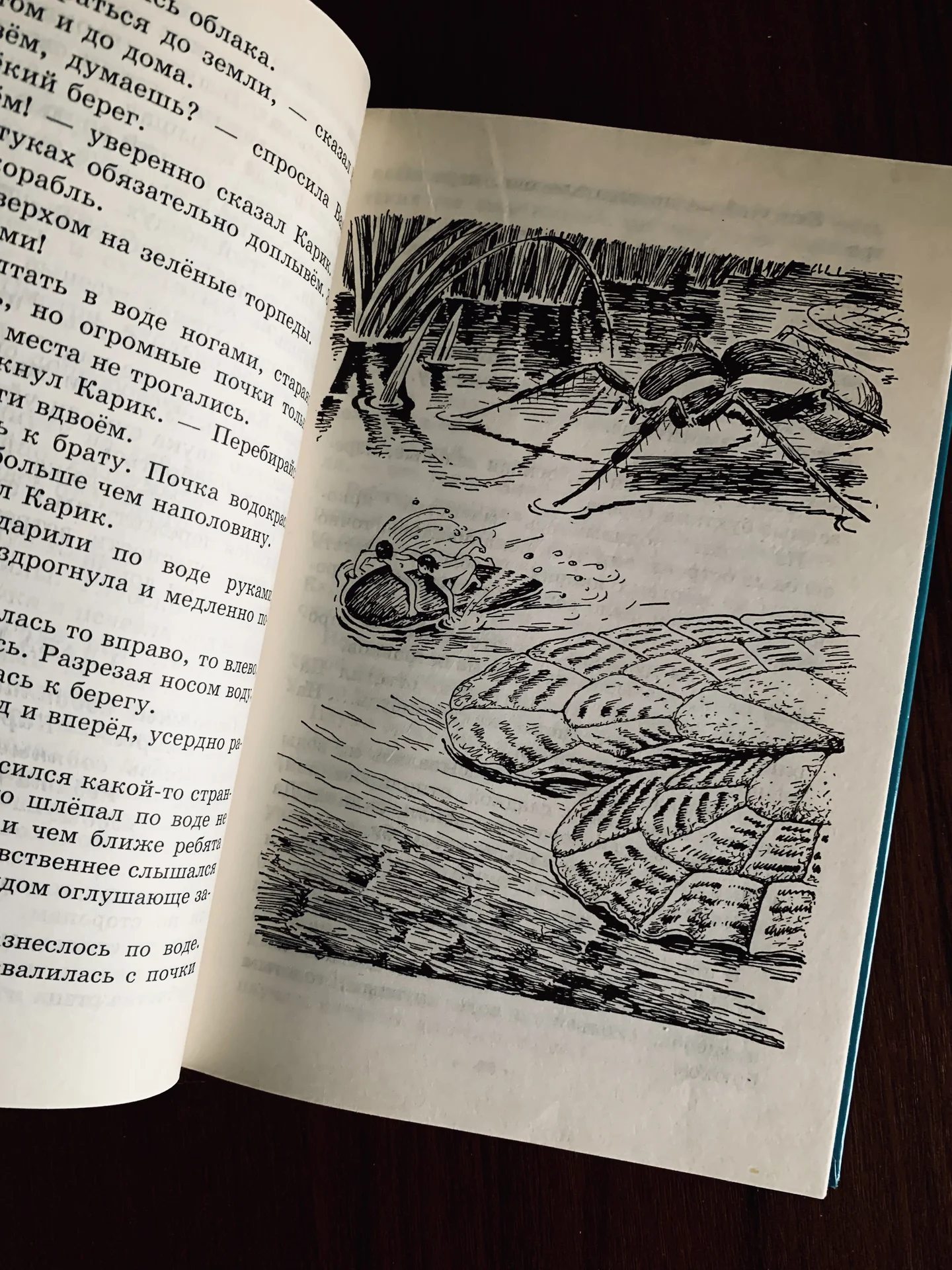 Книга Яна Ларри «Приключения Карика и Вали» - миниатюра 6