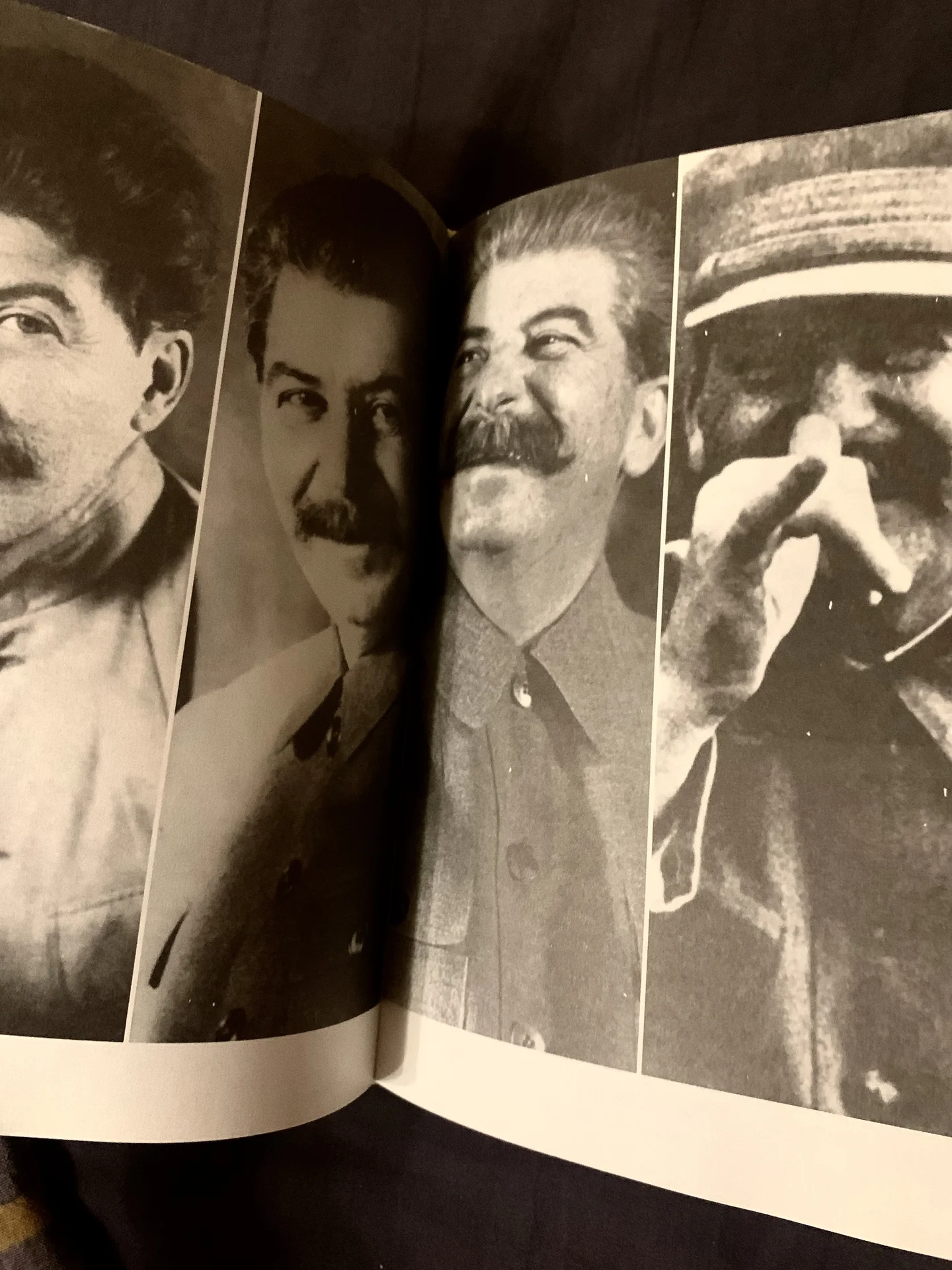 Книга Эдварда Радзинского «Сталин. Жизнь и смеоть» - миниатюра 8